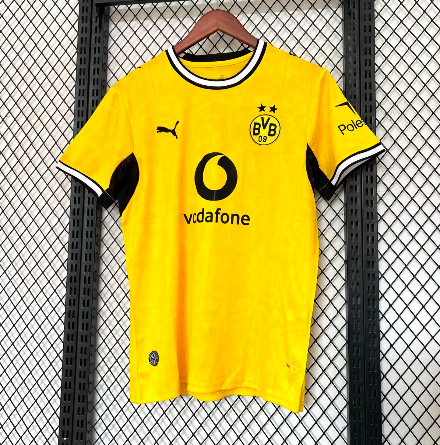 Jersey del borussia